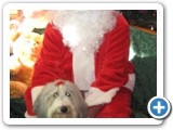 Beautiful Maizy with Santa