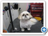 Don't ya just want to squeeze that little face!!