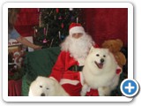 Duncan beauties with Santa