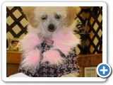 Lizzy when she was a baby