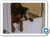 our_greeters