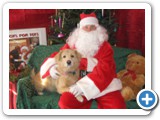 Sweet sweet Butterscotch with Santa